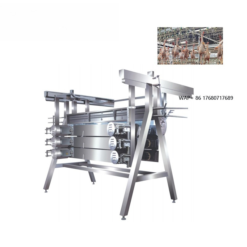 Chicken Plucker Machine - Maszyna do plucania kurczaków, sprzęt do