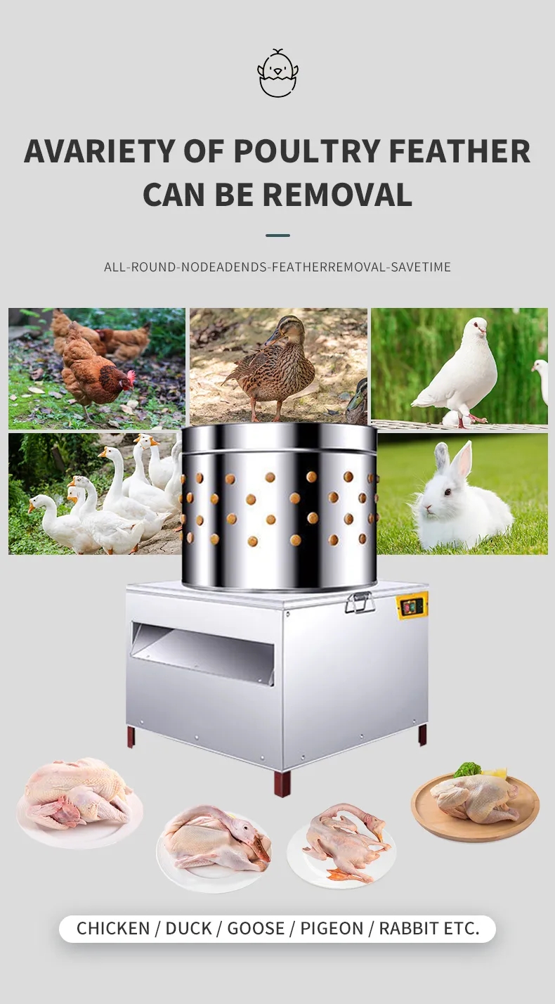 Maszyna do skubania piór kurcz – Chicken Plucker Machine recenzja i cena