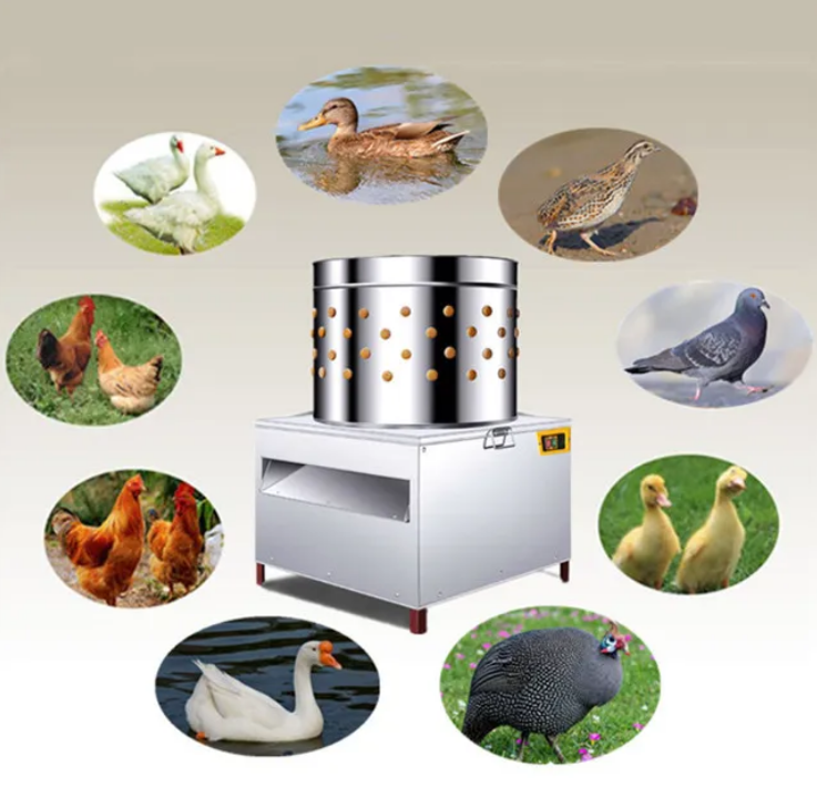 Profesjonalna automatyczna mas – Chicken Plucker Machine recenzja i cena