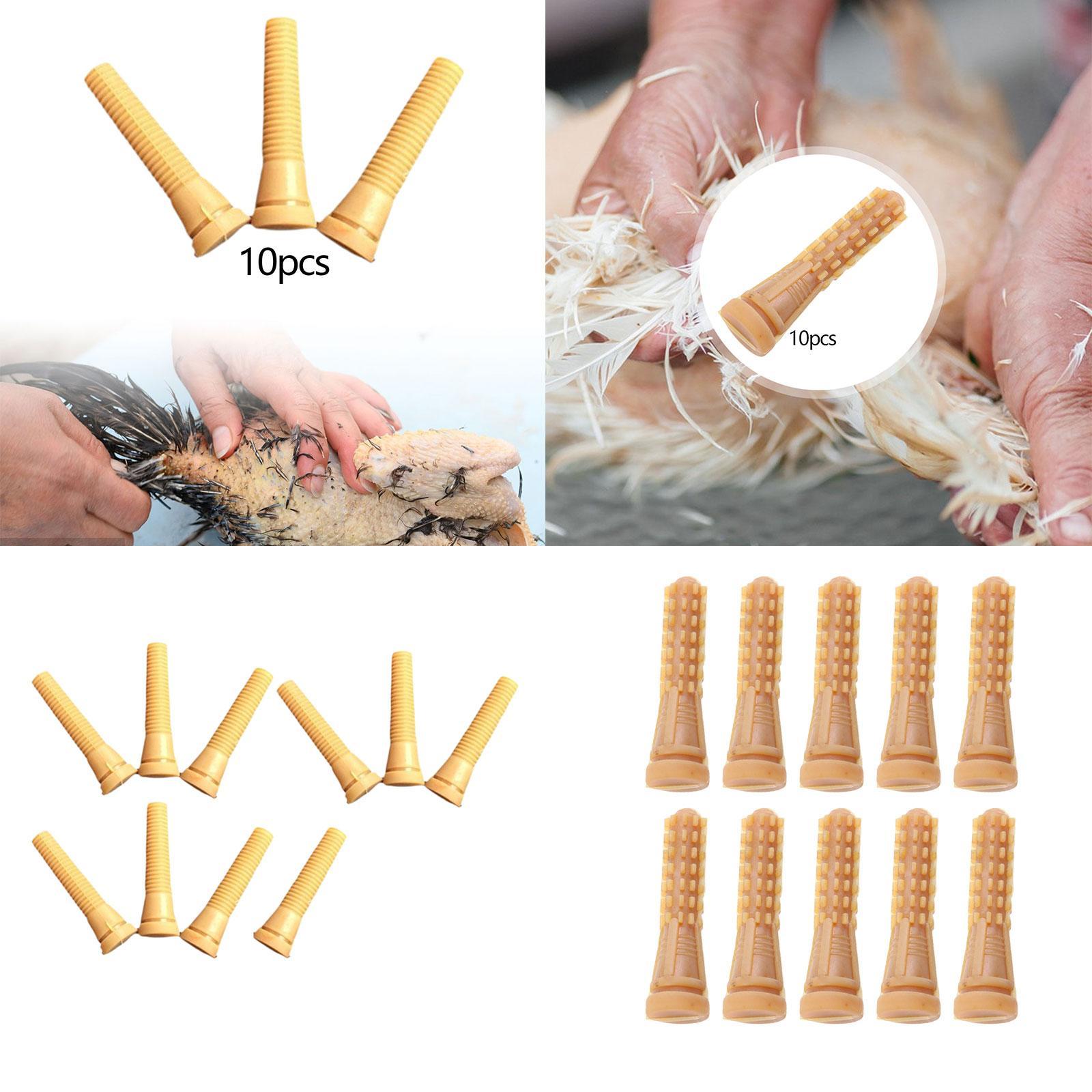 Części do maszyn do skubania d – Chicken Plucker Machine recenzja i cena