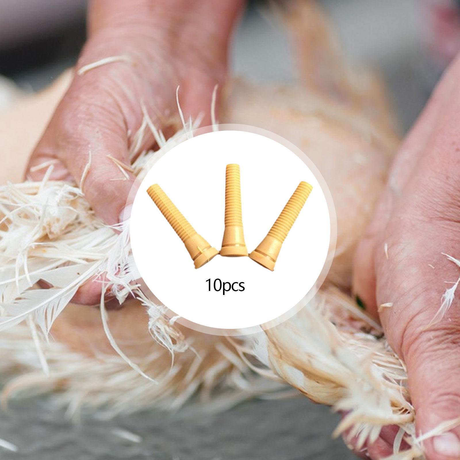 Części do maszyn do skubania d – Chicken Plucker Machine recenzja i cena