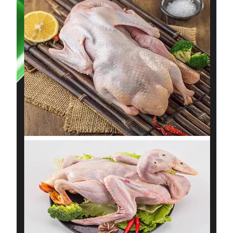 Ręczna automatyczna maszyna do – Chicken Plucker Machine recenzja i cena