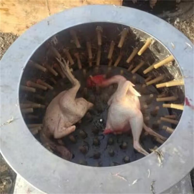Nowa maszyna do usuwania pierz – Chicken Plucker Machine recenzja i cena