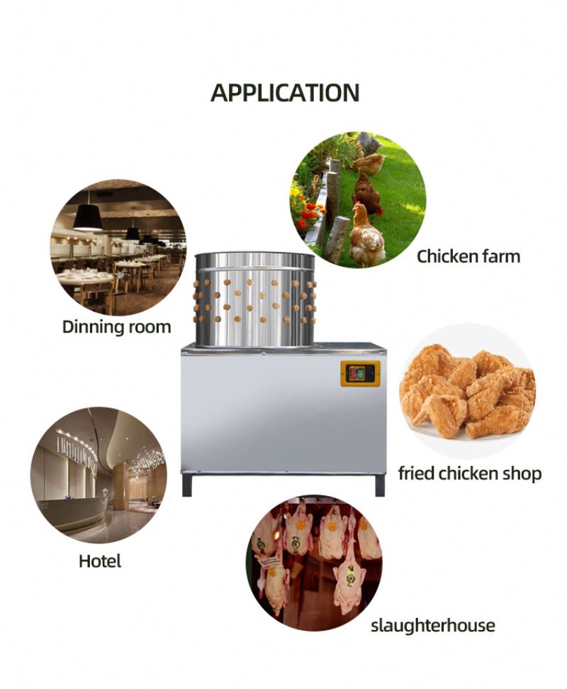 Maszyna do rozpruwania kurczak – Chicken Plucker Machine recenzja i cena